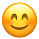 Smiling Smiley